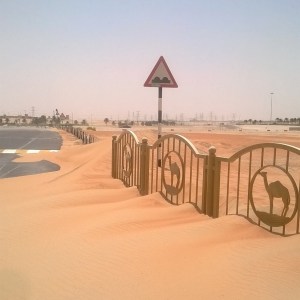 Moving to the UAE | Desert